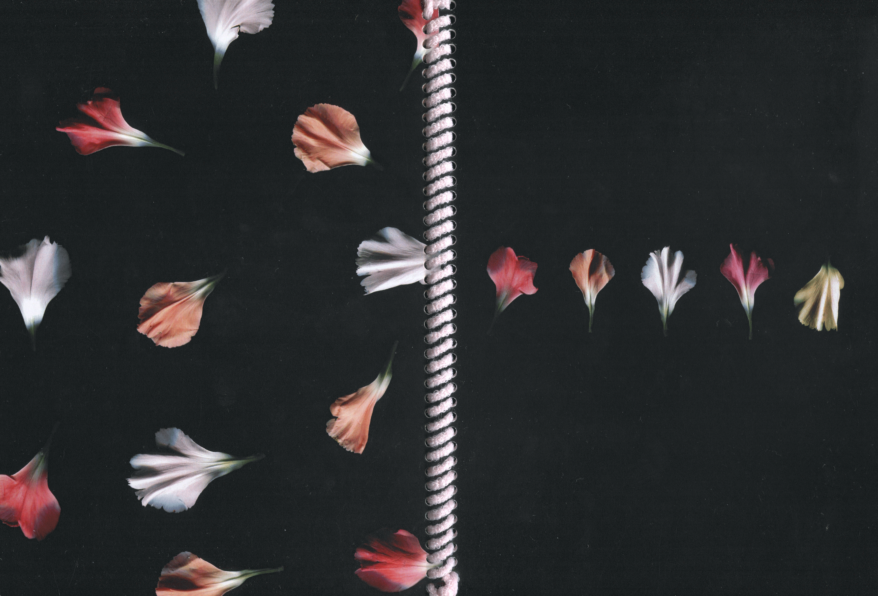 Cover of Cinque Histoires, a short stories fanzine designed in Paris